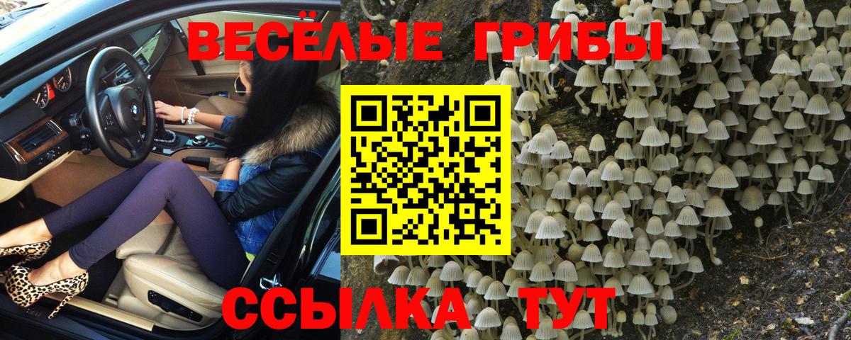 Псилоцибиновые грибы Psilocybine cubensis Магнитогорск